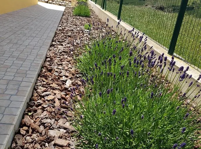 Casa Da Caroleira * Pacos (Lisbon)